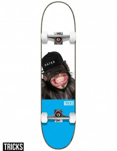 Skate Hater 7.75 MC Tricks